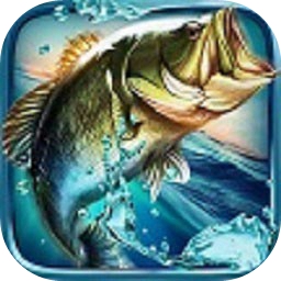 bb平台体育app